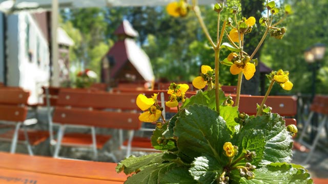 Biergarten Weidmannsruh Biergarten Weidmannsruh