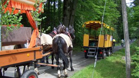 Kremserfahrten im Frühling